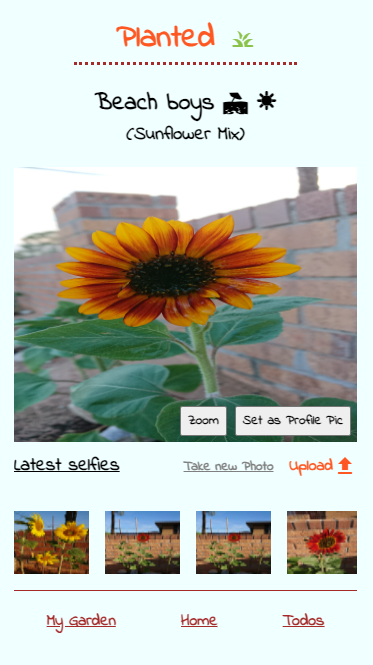 Screenshot of the Planted project